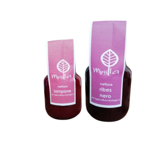 Product image nettaremirtillomirtilla1-345420 - Mon Nov 17 2025 22:10:58 GMT+0100 (Central European Standard Time)