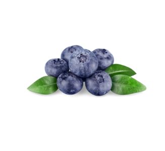 Product image mirtillibio1-441147 - Mon Nov 17 2025 22:04:45 GMT+0100 (Central European Standard Time)