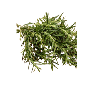 Product image rosmarino1-636886 - Mon Nov 17 2025 22:11:24 GMT+0100 (Central European Standard Time)