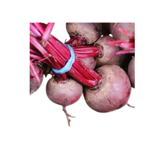 Product image rapanelli1-225842 - Mon Nov 17 2025 22:11:16 GMT+0100 (Central European Standard Time)